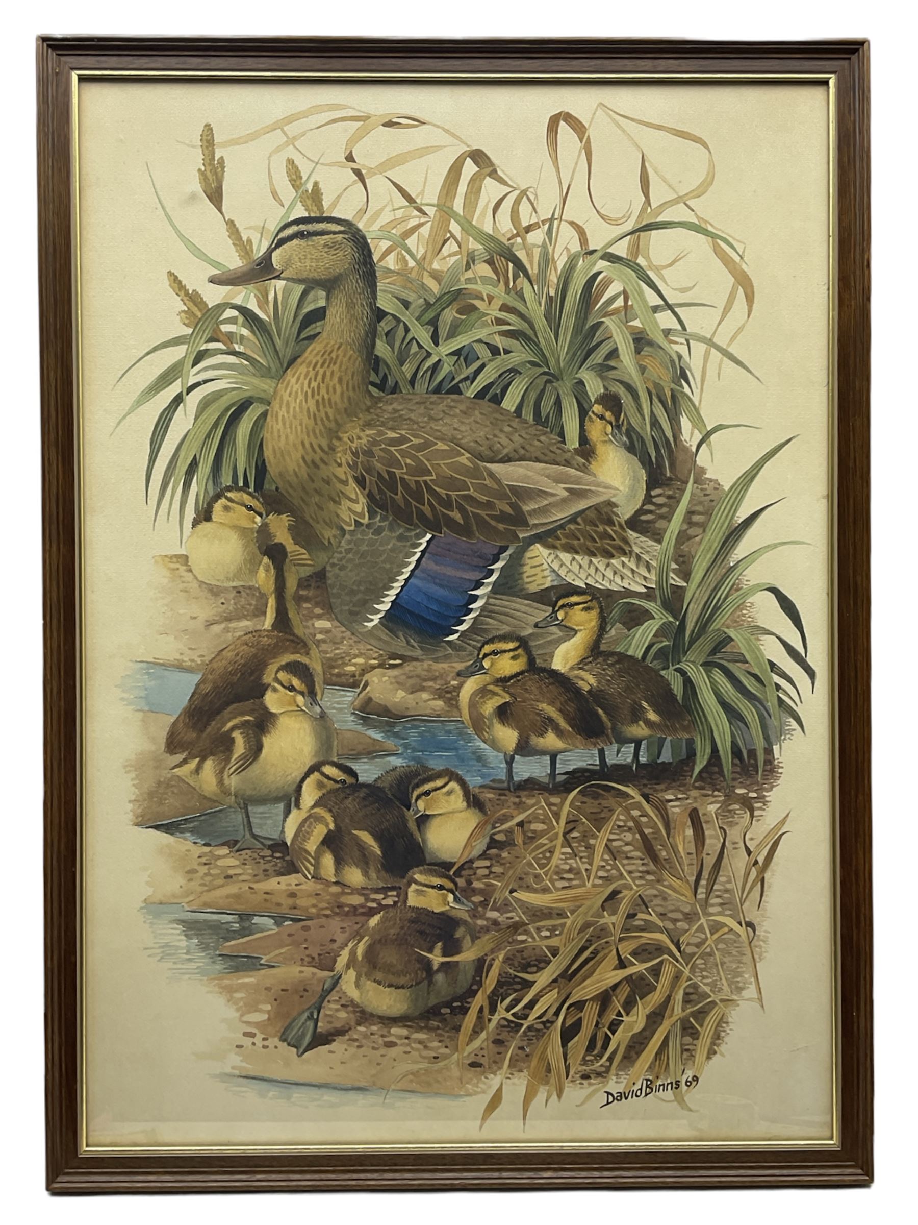 David Binns (British 1935-2020): Mother Duck and Ducklings - Image 2 of 2