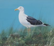 Alan M Hunt (British 1947-): 'Lesser Black Backed Gull'