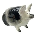 Early 20th century Wemyss seated pig