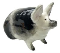 Early 20th century Wemyss seated pig