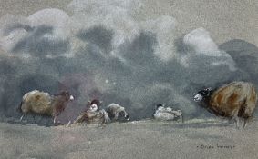 Brian Irving (British 1931-2013): Sheep Resting on a Cloudy Day