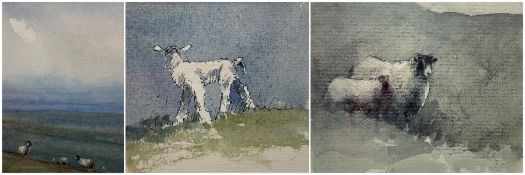 Brian Irving (British 1931-2013): Sheep in Pasture Landscape