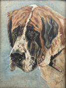 N Jame (British 20th century): Portrait of a St Bernard