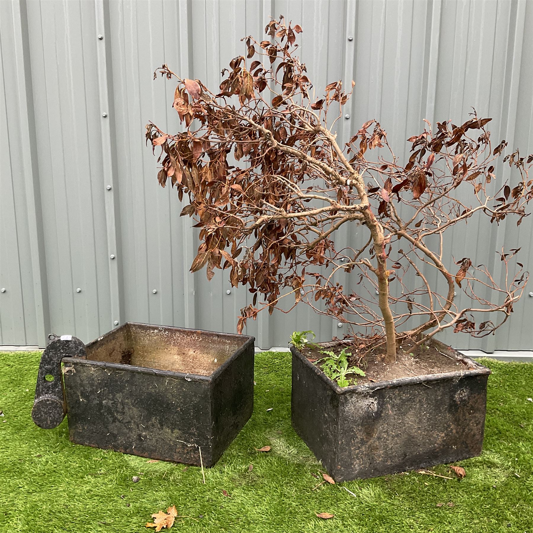 Pair of cast iron rectangular planters - Image 4 of 4