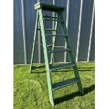Simplex wooden ladders painted in green