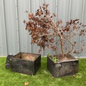 Pair of cast iron rectangular planters