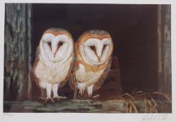 Robert E Fuller (British 1972-): Two Barn Owls