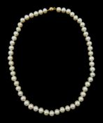 Single strand cultured pink/white pearl necklace