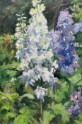 Catherine Tyler (British 1949-): 'Garden Delphiniums'