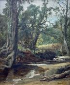 Leopold Rivers (British 1850-1905): A Secluded Stream