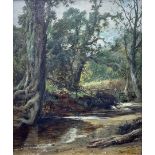 Leopold Rivers (British 1850-1905): A Secluded Stream