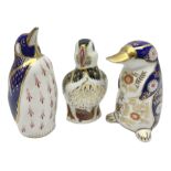 Three Royal Crown Derby paperweights