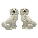 Pair of Staffordshire style dogs