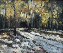Alfred Whitehead (Canadian 1887-1978): Snowy Forest