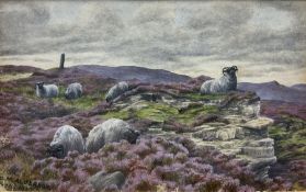 Dorothy Margaret Alderson (British 1900-1992): Sheep Grazing on a Moorland Crag