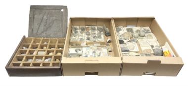 Natural history; Collection of rock and mineral specimens to include muscovite