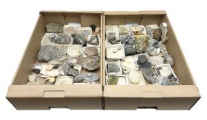 Natural history; Collection of rock