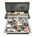 Natural history; Collection of fossils