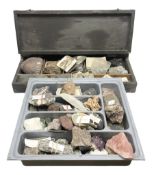 Natural history; Collection of fossils