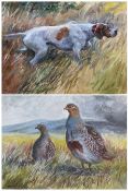 Jane Dunn (British 20th century): Partridges and Setter