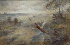 James Stinton (British 1870-1961): Pheasants Breaking Cover