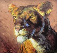 Rolf Harris (Australian 1930-): 'Lioness'
