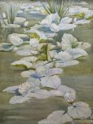 Richard Edward Clarke (British 1878-1954): Waterlilies