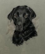 Mary Barker (British 20th century): 'Tara' - Portrait of a Labrador