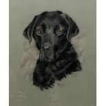 Mary Barker (British 20th century): 'Tara' - Portrait of a Labrador