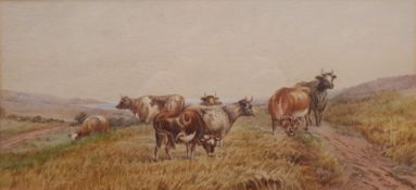 Owen (British 19th century): Cattle near the Clifftop