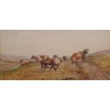 Owen (British 19th century): Cattle near the Clifftop