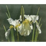 Sally Keir (British 1938-2007): 'Iris Versicolour'