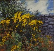 Ben Holgate (Northern British Contemporary): 'April Gorse'