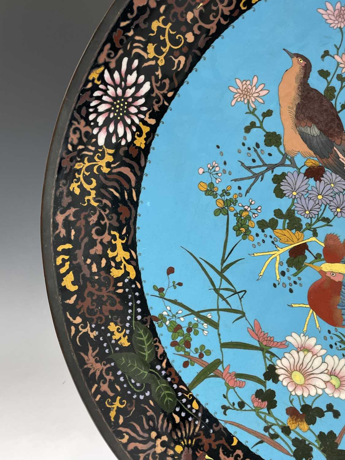 A huge Japanese cloisonne charger, Meiji Period, the sky blue ground decorated with birds amongst - Image 12 of 12