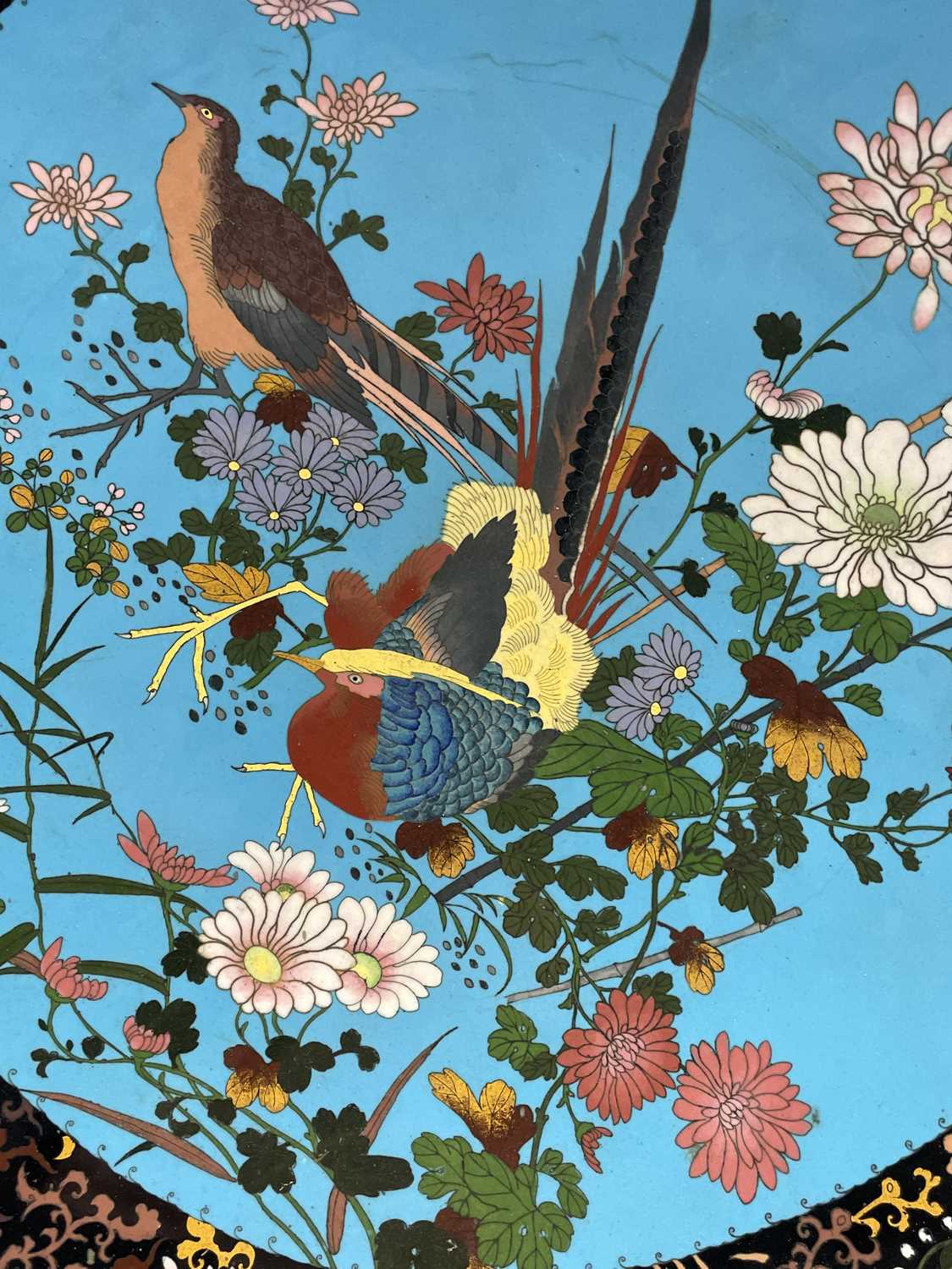 A huge Japanese cloisonne charger, Meiji Period, the sky blue ground decorated with birds amongst - Image 3 of 12