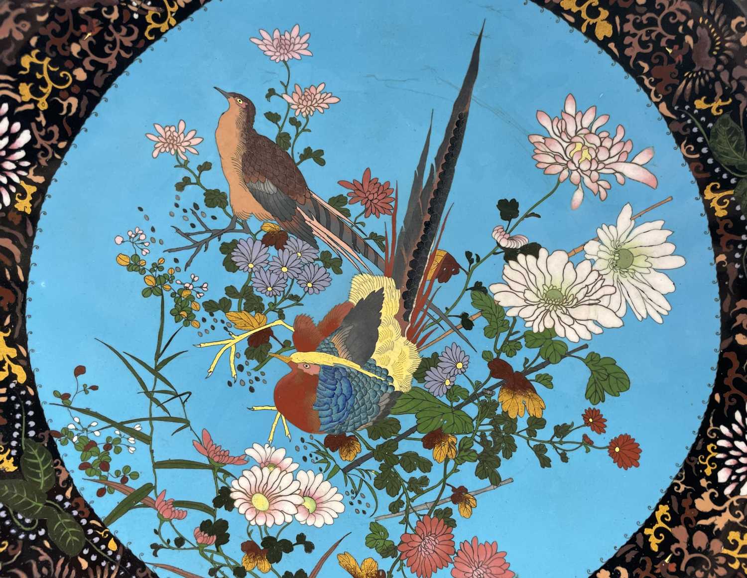 A huge Japanese cloisonne charger, Meiji Period, the sky blue ground decorated with birds amongst - Image 2 of 12