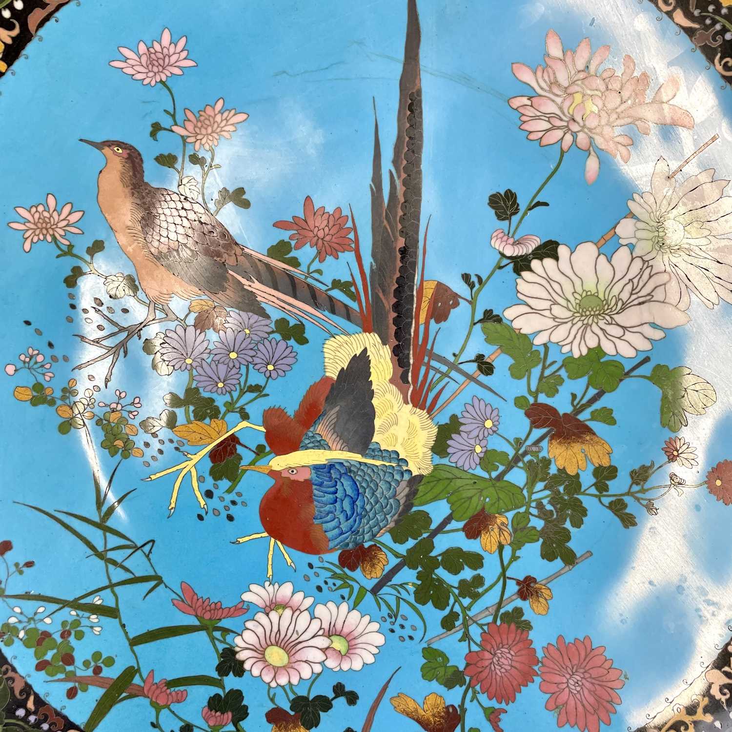 A huge Japanese cloisonne charger, Meiji Period, the sky blue ground decorated with birds amongst - Image 9 of 12