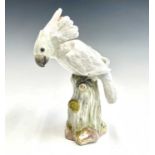 A Meissen porcelain figure of a cockatoo, mid 19th century, with lightly detailed plumage and