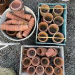 Three crates of terracotta plant pots of various sizes.