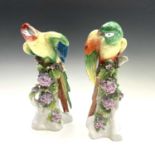 A pair of Continental porcelain figures of parrots, circa 1900, with brightly coloured plumage on