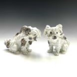 A pair of German porcelain figures of Bolognese terriers or hounds, 19th century, after the