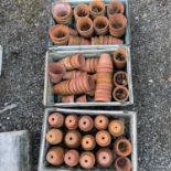 Three crates of terracotta plant pots of various sizes.