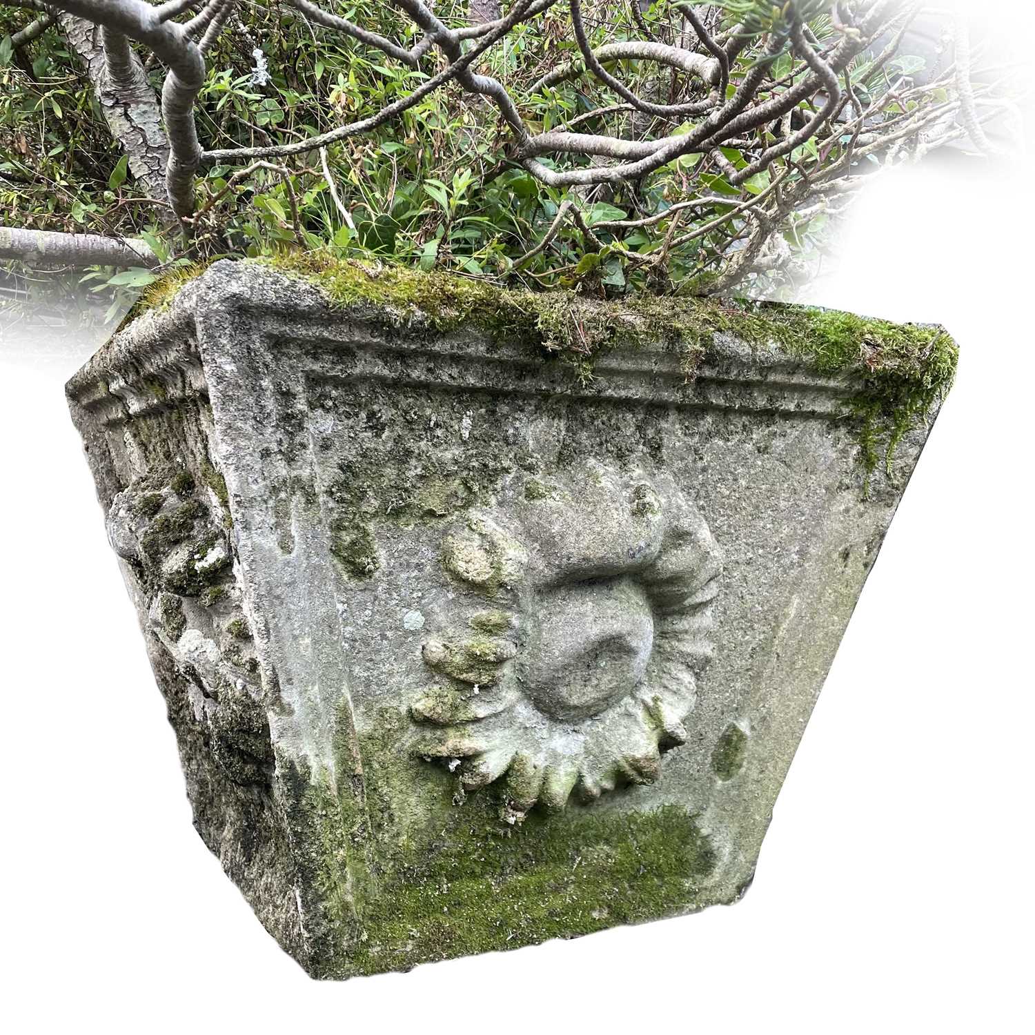 A large reconstituted stone planter cast with flower motif, the height of planter 41cm width 49cm