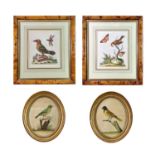 A pair of oval gilt framed prints of exotic birds, each 25 X 20cm, together with a pair of maple