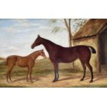 Alfred Moginie BRYANT (XIX-XX) Two horses beside a stable Oil on canvas, 39 X 59cm.