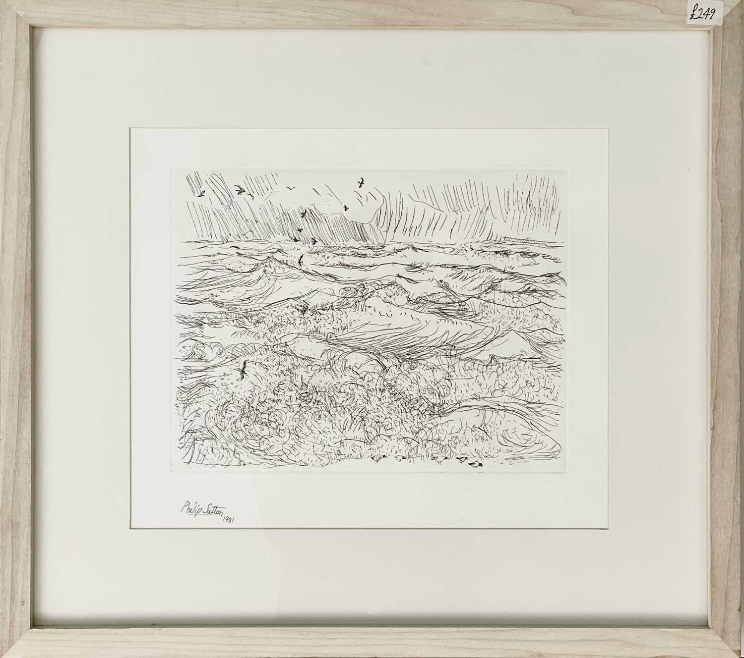 Philip SUTTON (1928) Two etchings Each signed, one dated 1981 Plate sizes 18 x 20cm and 23 x 30cm - Image 4 of 6