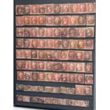 Great Britain and U.S.A. A very well filled black stockbook - strength in Queen Victoria many 1d red