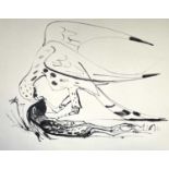 Sven BERLIN (1911-1999) Falcon and Kill Ink drawing 49x57cm