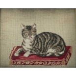 A Victorian Berlin woolwork picture of a cat, seated on a cushion, contained within a maple frame,