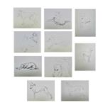 Sven BERLIN (1911-1999) Various Greyhound studies on paper, twelve works in total. One signed and